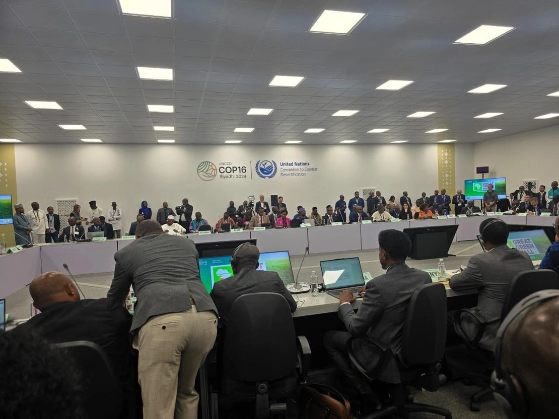 COP16 Cultural Activations