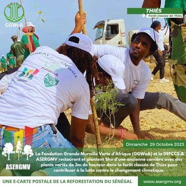 Film crew capturing scenes in a Sahelian landscape