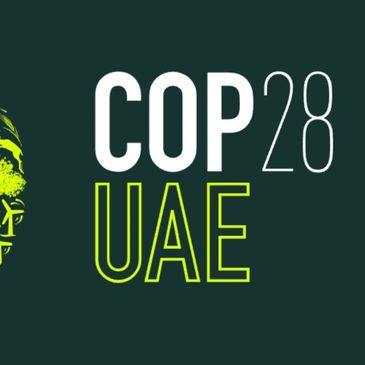 Immersive installation inspired by the Great Green Wall